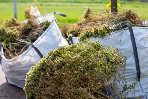 Best Scrap Metal Removal  in Albany, GA